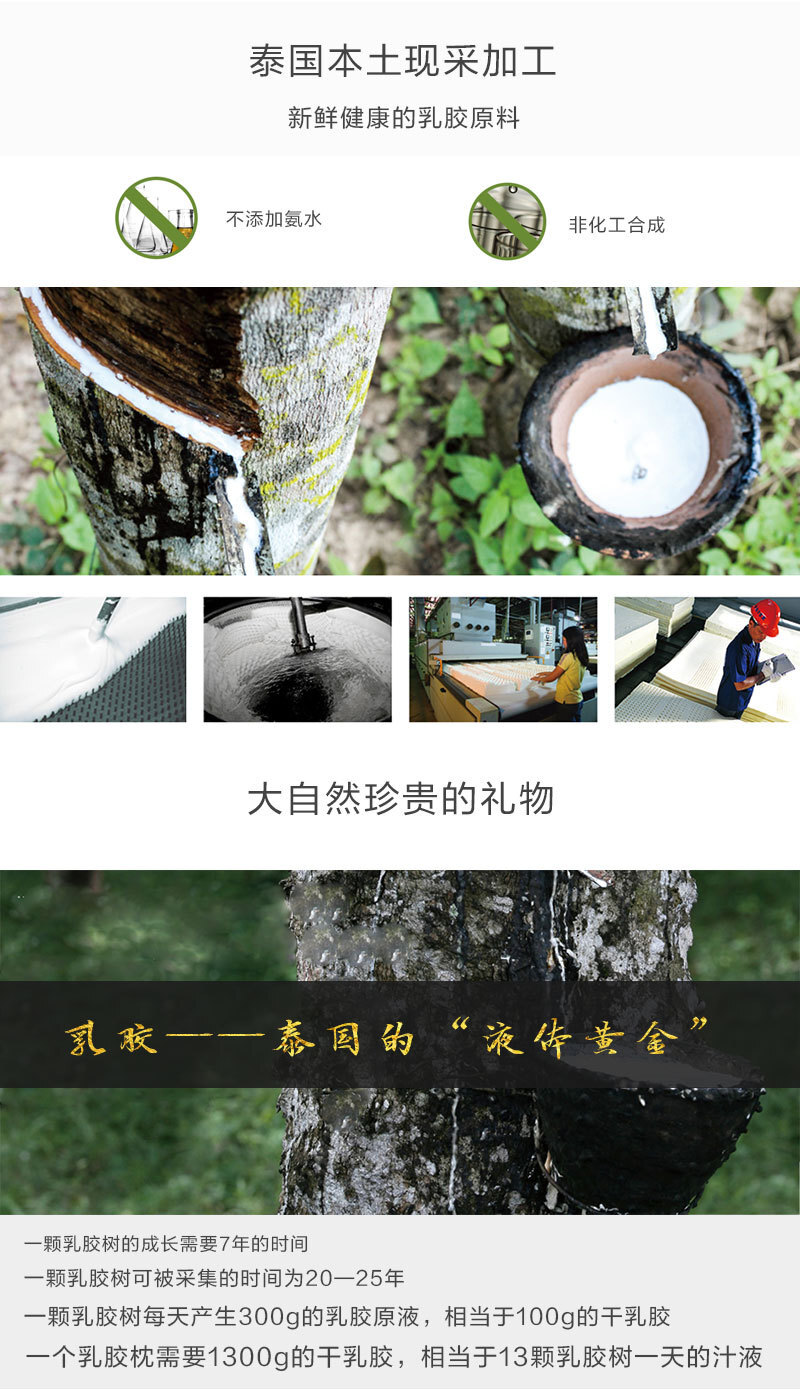 泰国原产taipatex乳胶枕按摩护颈枕头枕芯 白色