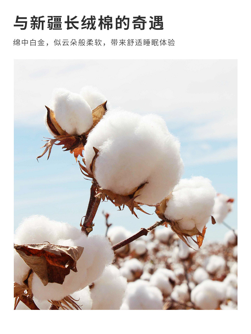 CRIA-100支纯棉抗菌夹棉床笠长城灰 长城灰 150*200