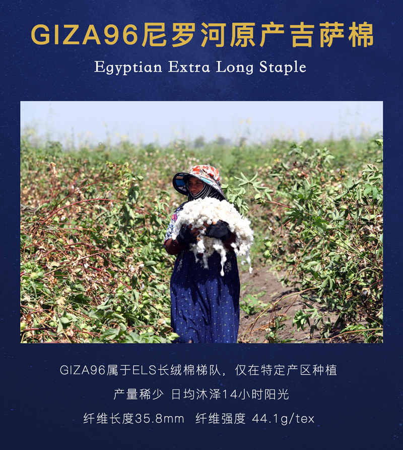 OBB ROYAL BED 200支埃及长绒棉1000TC四件套 白沙金滩 220*240cm(适用于1米8的床)