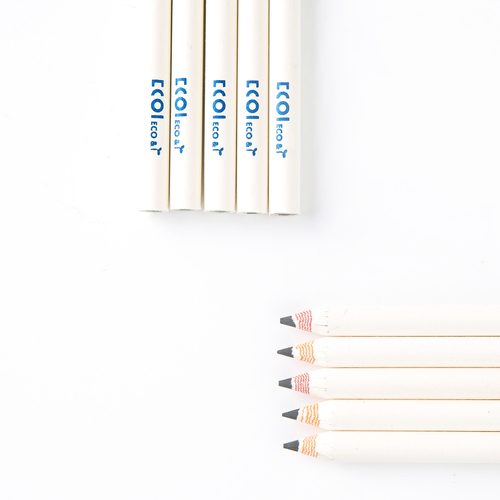 韩国原产ECO&I纸质彩色铅笔纸铅笔画笔10支套装zebra系列 白色