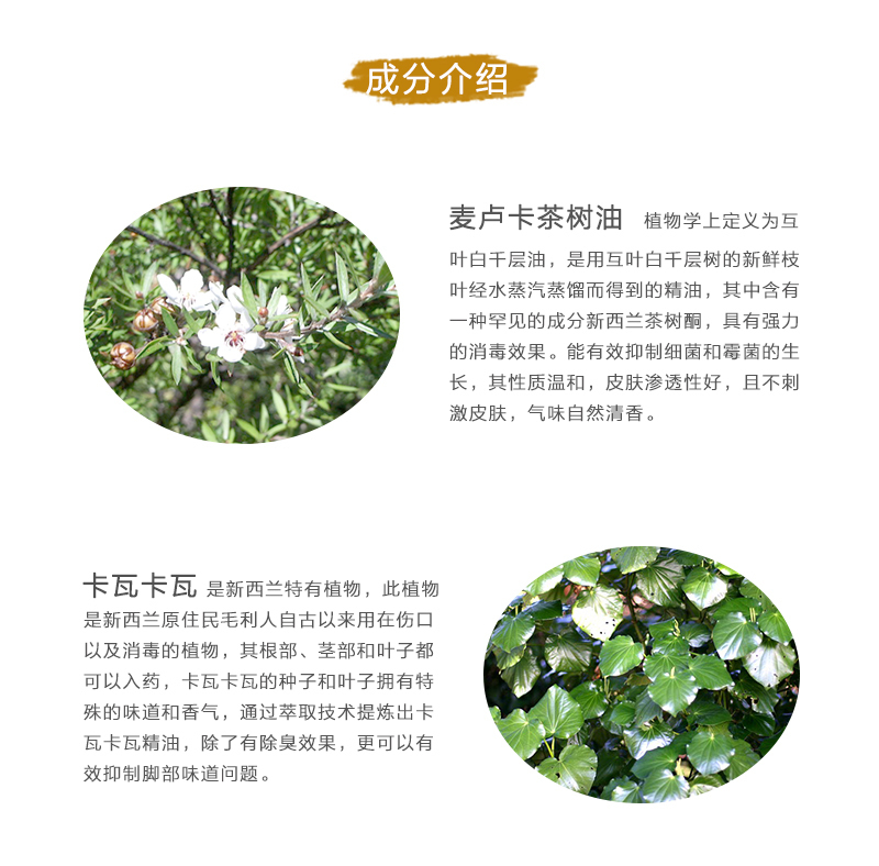 新西兰原产GRAN'S REMEDY 植物鞋粉除臭粉除味粉 薄荷味