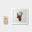 英国原产Crafty Foxx木质装饰画框相框 鹿头（小） 白色