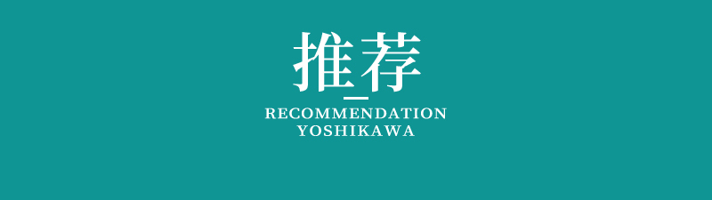 日本原产YOSHIKAWA雪平锅不锈钢木柄汤锅20cm 燃气电磁炉两用