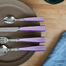 法国Sabre Paris西餐具ICÔNE系列 紫丁香餐具 茶匙16cm