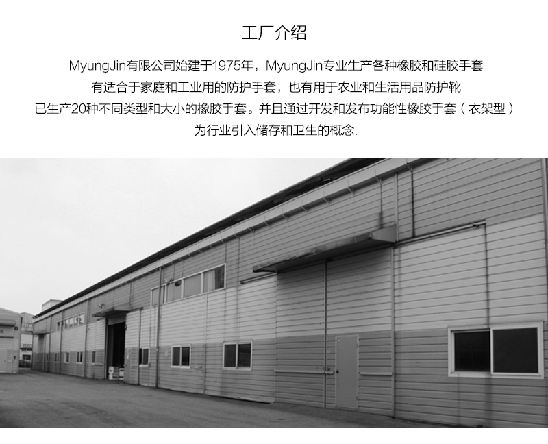 韩国原产Myungjin厨用一次性手套塑料手套薄膜手套 50张 24*27cm 厚度0.01mm