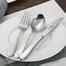 德国原产GGS不锈钢餐具套装不锈钢刀叉勺套装Sonja系列 银色