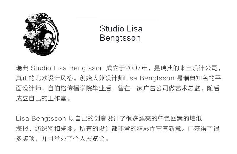 瑞典原产STUDIO LISA BENGTSSON 长石陶瓷餐碟菜碟果盘碟 黑白