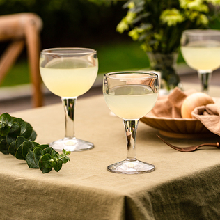 法国La Rochère星球杯系列葡萄酒杯香槟杯