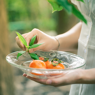 法国原产La Rochère凡尔赛系列透明玻璃盘子水果盘汤盘24cm