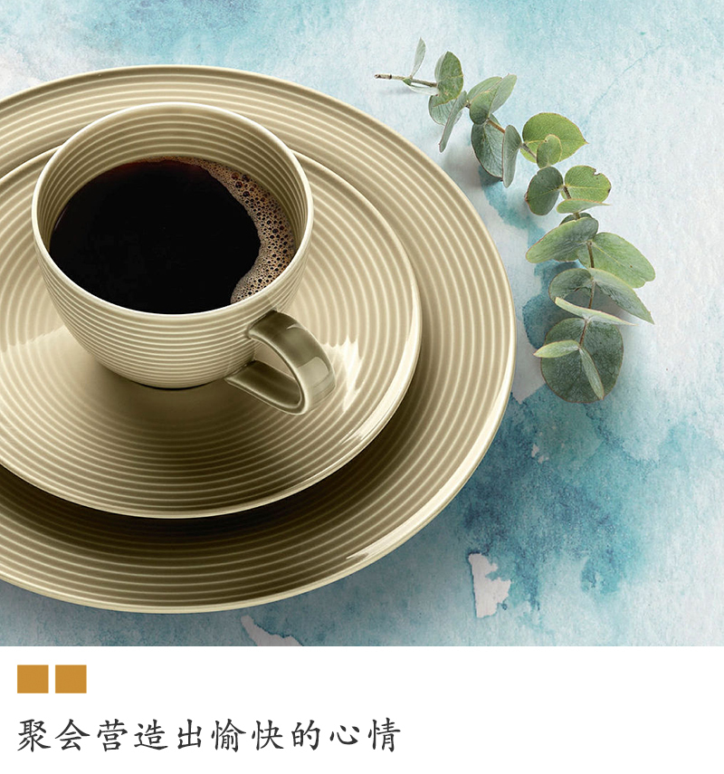 德国原产seltmann Weiden水纹系列咖啡具 北极蓝咖啡杯