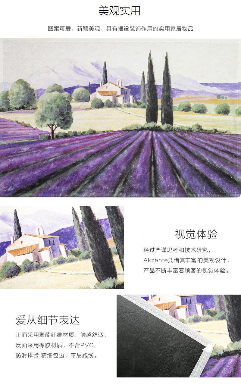 德国原产AKZENTE Gallery系列地毯脚垫门厅垫 普罗旺斯 彩色