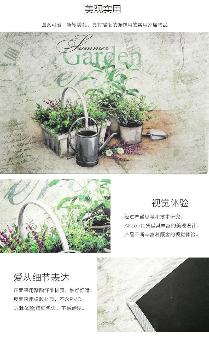 德国原产AKZENTE Gallery系列地毯脚垫门厅垫 夏日香草 彩色