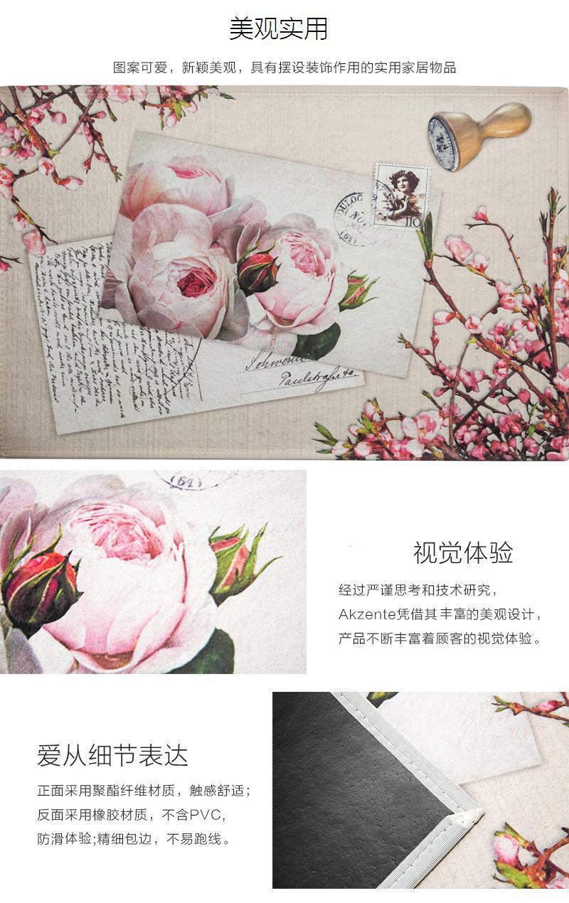 德国原产AKZENTE Gallery系列地毯脚垫门厅垫 玫瑰明信片 彩色