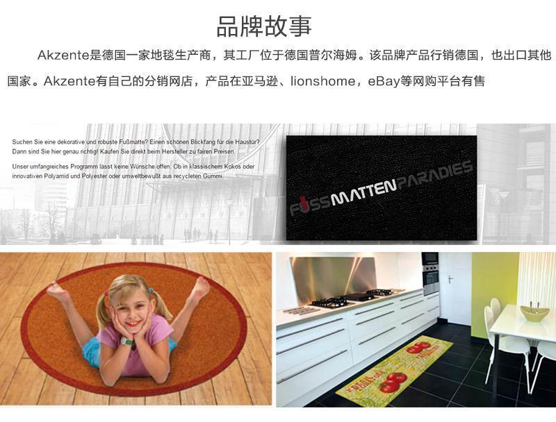 德国原产AKZENTE Gallery系列地毯脚垫门厅垫 夏日玫瑰 彩色