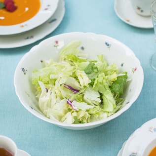 德国原产Seltmann Weiden瓷碗西餐具25cm彩色小花系列