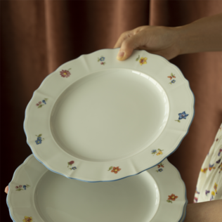 德国原产Seltmann Weiden怀旧奏鸣曲系列餐具餐盘餐碗