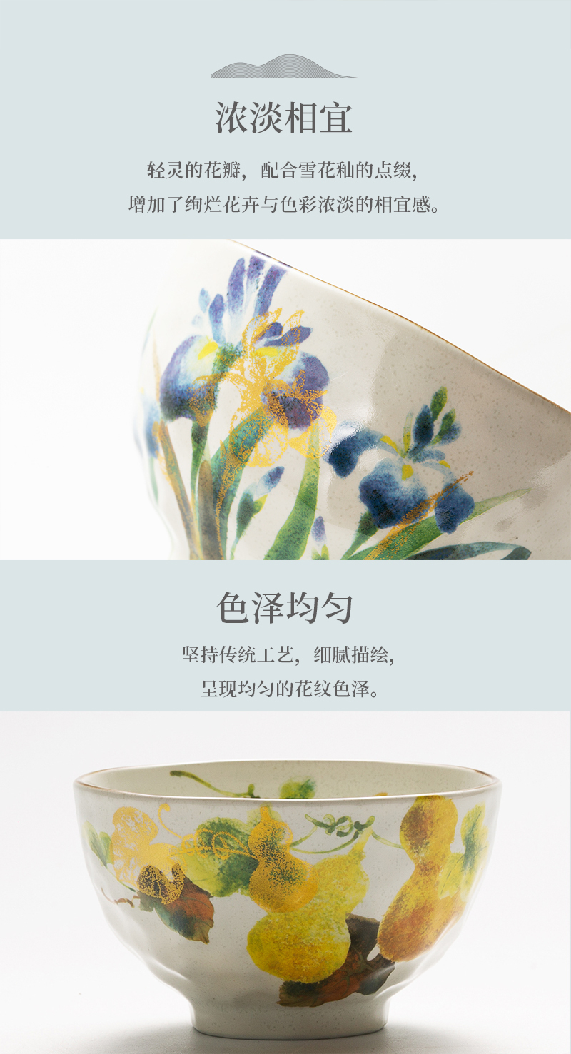 日本原产ceramic Ai 花风雅系列饭碗五件套彩色 品牌价格图片网购 喜地