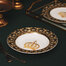 德国原产Seltmann Weiden奢华皇冠系列餐具餐盘餐碗 汤盘 22cm
