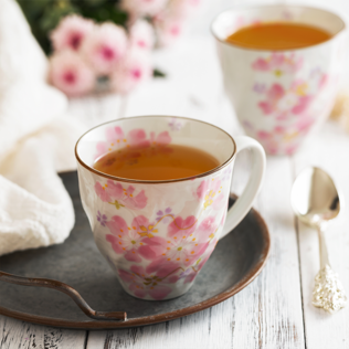 日本原产 ceramic蓝马克杯两件套樱灿灿