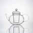 德国原产trendglas JENA耐热玻璃 MIKO激光打孔玻璃滤网 茶壶 透明