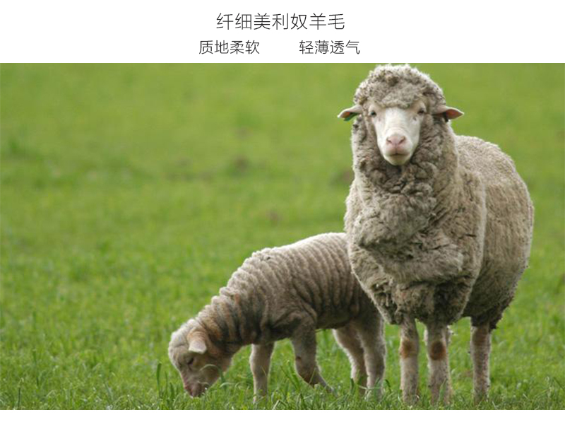 德国原产UPPERCASE美利奴羊毛围巾几何图案 珊瑚红色