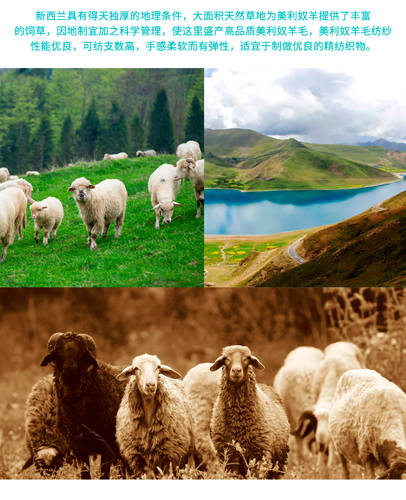 新西兰原产lamington 美利奴羊毛袜婴儿袜新生儿袜 灰条 L