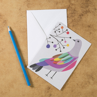 新西兰原产Tikitibu 彩色鸠贺卡明信片创意生日贺卡