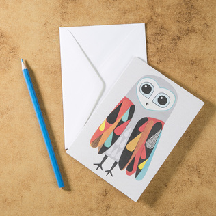 新西兰原产Tikitibu 猫头鹰 贺卡明信片创意生日贺卡