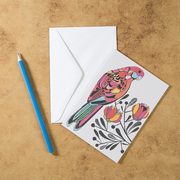 新西兰原产Tikitibu 美丽的鹦鹉 贺卡明信片创意生日贺卡