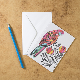 新西兰原产Tikitibu 美丽的鹦鹉 贺卡明信片创意生日贺卡