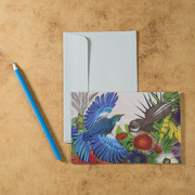 新西兰原产Tikitibu 飞翔的蜜雀明信片创意生日贺卡