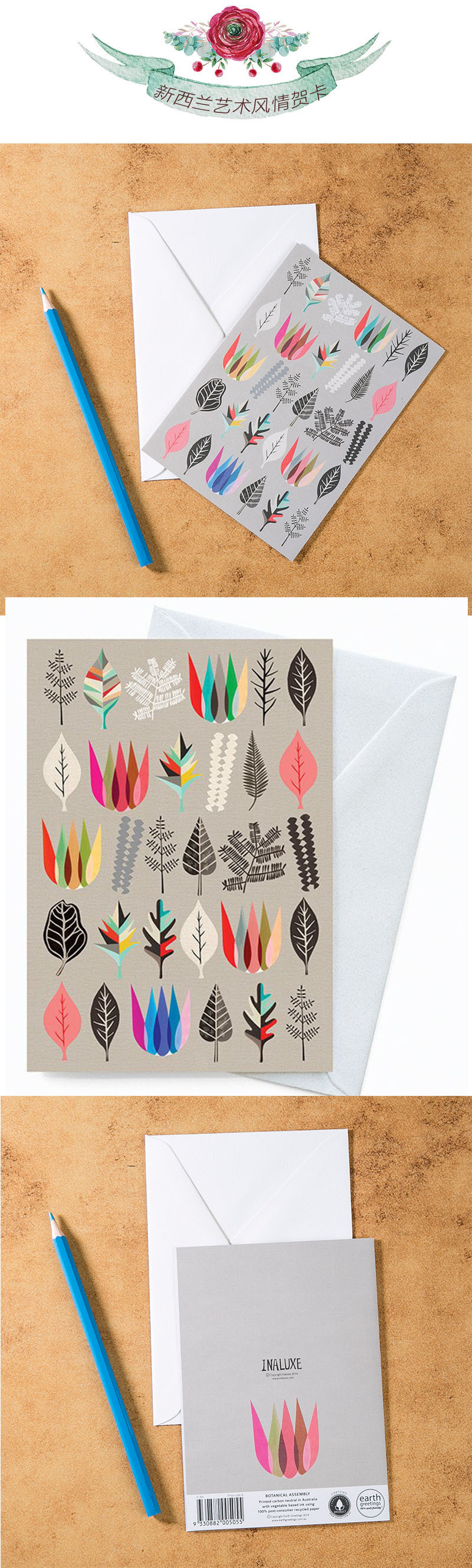 新西兰原产Tikitibu创意贺卡明信片生日贺卡植物园大会 彩色