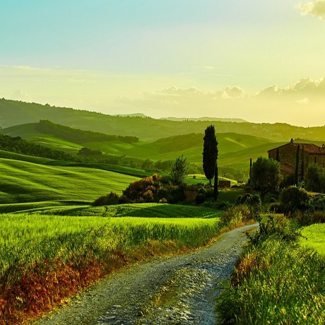 官方测试店铺一