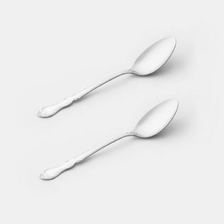 日本原产ECHO不锈钢勺子西餐饭勺儿童勺餐叉甜品勺-2件套