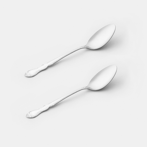 日本原产ECHO不锈钢勺子西餐饭勺儿童勺餐叉甜品勺-2件套 银色