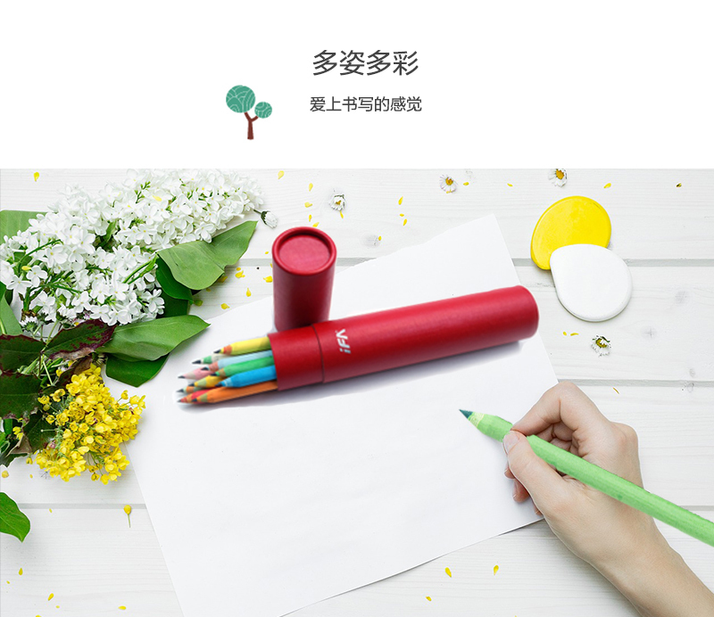 韩国原产ECO&I纸质彩色铅笔纸铅笔画笔10支套装zebra系列 天蓝