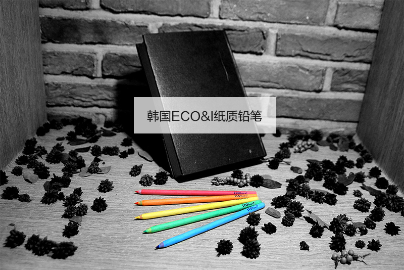 韩国原产ECO&I纸质彩色铅笔纸铅笔画笔10支套装zebra系列 天蓝