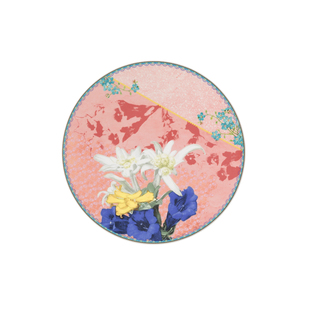 德国原产Seltmann Weiden友谊之花系列餐具西餐具