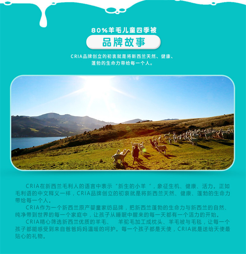 新西兰原产CRIA 80%羊毛儿童四季被羊毛被 白色