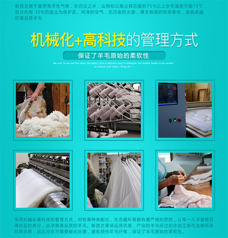 新西兰原产CRIA 80%羊毛儿童四季被羊毛被 白色