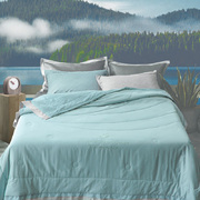 CRIA纳米科技负氧离子可水洗夏凉被-冰川绿