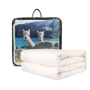 新西兰原产CRIA 全羊毛加大成人春秋 350gsm