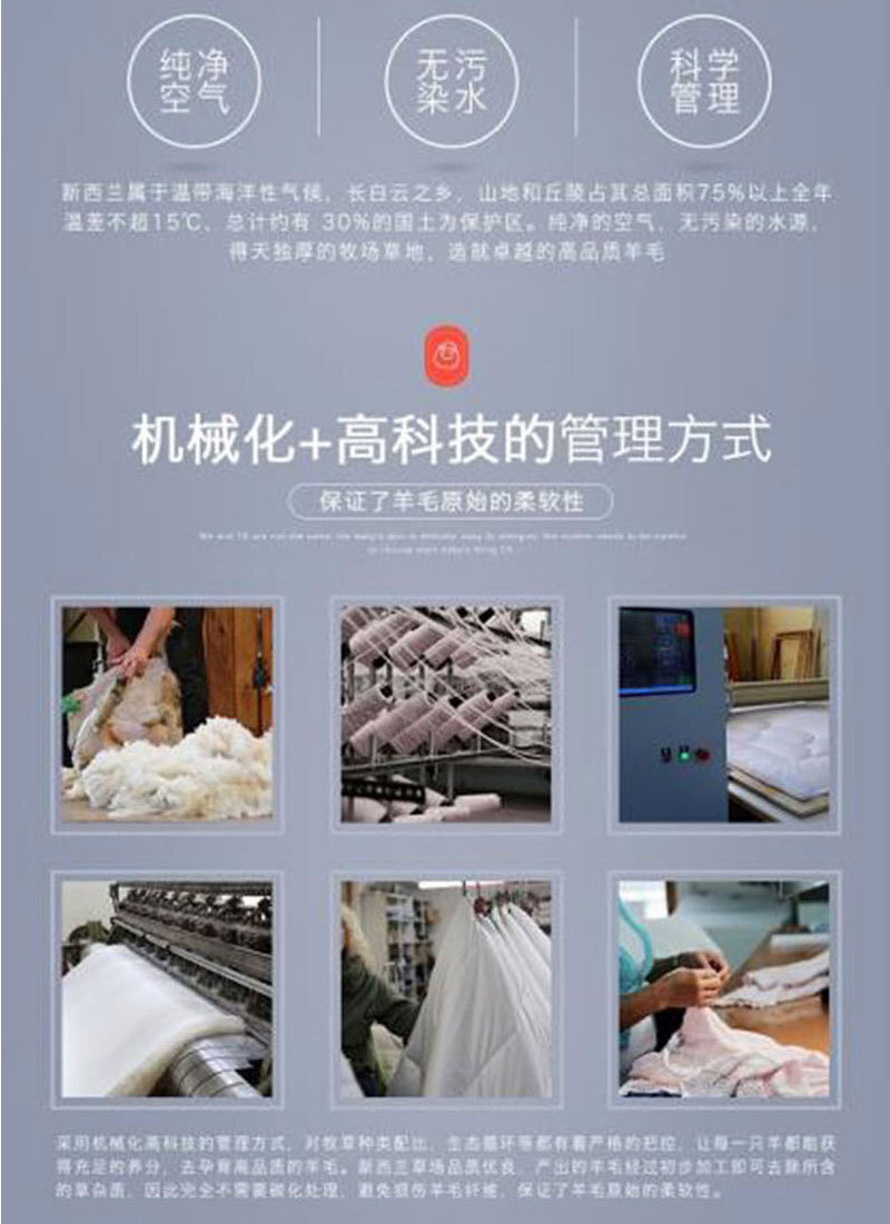 新西兰原产CRIA 全羊毛加大成人春秋 350gsm 白色 L