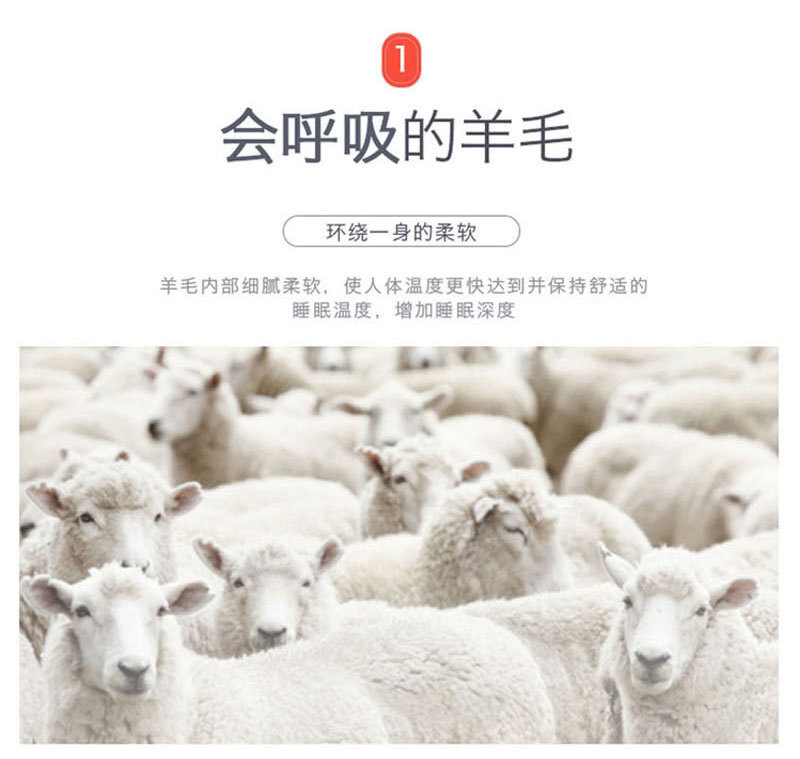 新西兰原产CRIA 全羊毛加大成人春秋 350gsm 白色 L