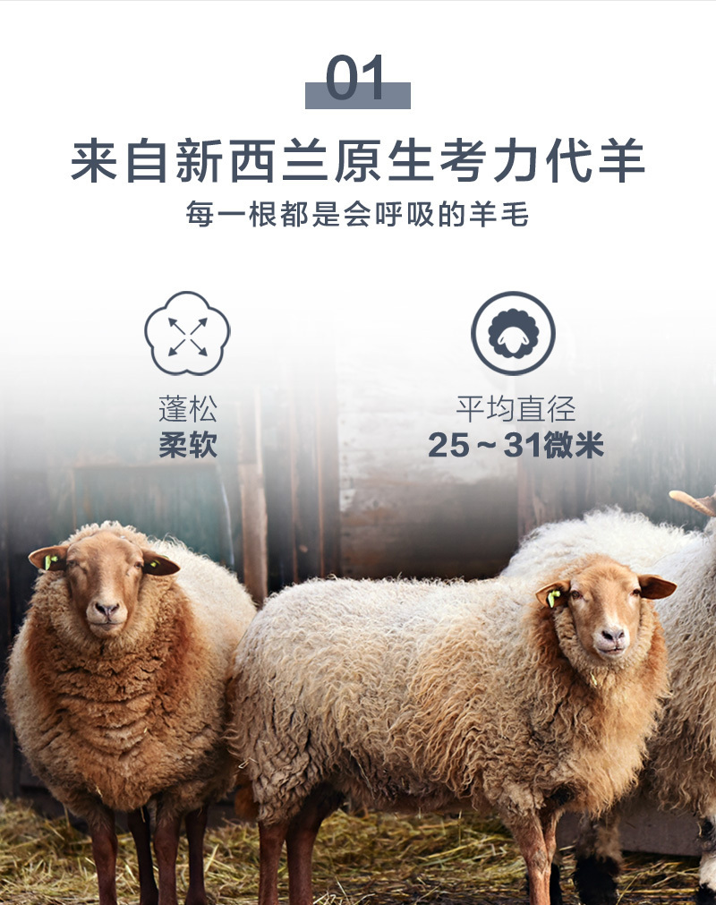 CRIA全羊毛冬被保暖被 500gsm 白色 S