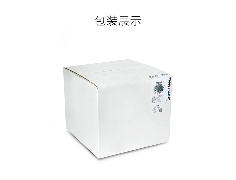 丹麦原产DYBERG LARSEN纸质DIY客厅卧室灯饰灯罩 KERDILApple 白色