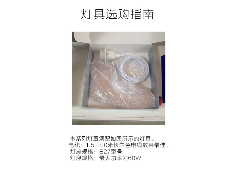 丹麦原产DYBERG LARSEN纸质DIY客厅卧室灯饰灯罩 KERDILApple 白色