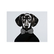 瑞典原产STUDIO LISA BENGTSSON 塑料餐垫桌垫隔热垫 雨果