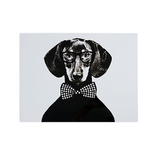 瑞典原产STUDIO LISA BENGTSSON 塑料餐垫桌垫隔热垫 雨果