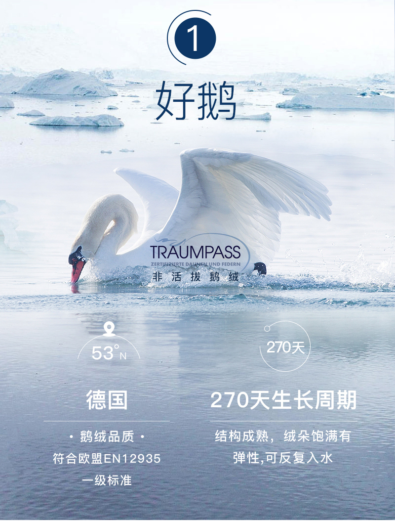 德国原产OBB Royal Bed90%鹅绒被 Wiltz维尔茨加厚四季被冬被 白色 220*240cm（适用于1米8的床）